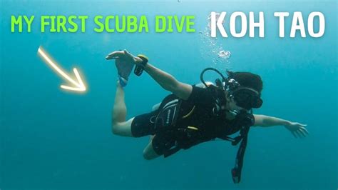 Scuba Diving For The First Time In Koh Tao Youtube