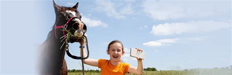 Navalis corticosal horse trägt zur. navalis corticosal® bei ECS | Neue Vitalität. Mehr ...