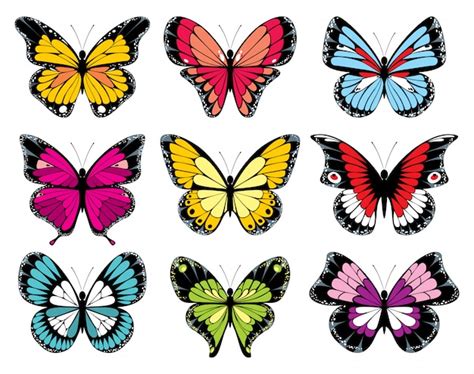 Conjunto De Coloridas Mariposas Vector Premium