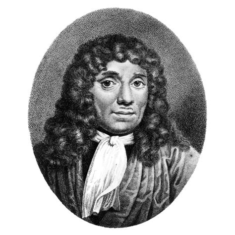 Anton Van Leeuwenhoek N1632 1723 Dutch Naturalist Line And Stipple
