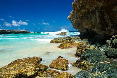 15 Mejores Playas De Aruba El Turismo En España