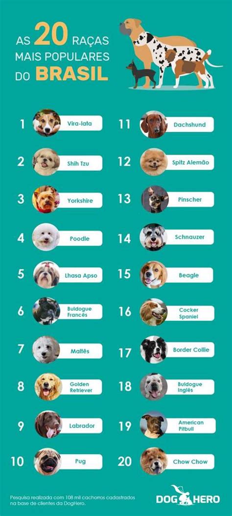 Pesquisa revela quais são as raças e os nomes de cachorro mais populares no Brasil MercadoETC