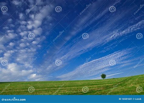 Blue Sky Green Fields Stock Image Image Of Rural Cloud 16581601
