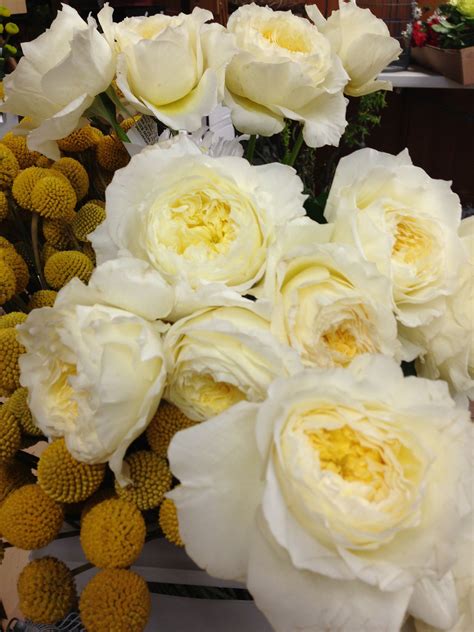We would be honored to create a custom bouquet of your recipient's favorite blooms or assist. Cream garden roses and craspedia balls! Allen's Flowers ...