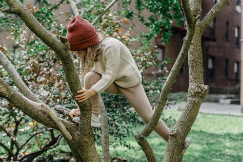 Active Girl Climbing Tree On Street · Free Stock Photo