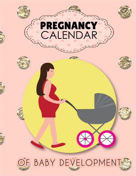 Buy Pregnancy Of Baby Development Pregnancy Scrapbook For First Time