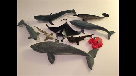 Whale Toys Youtube