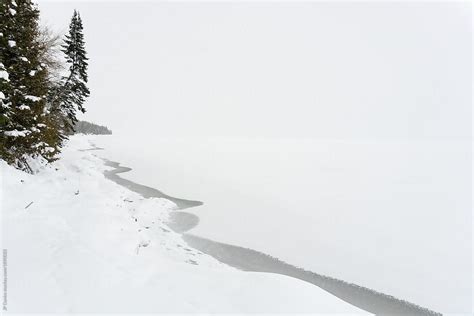Boundary Between Frozen Ontario Lake And Snowy Conifer Forest
