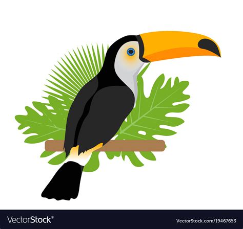Toco Toucan Icon Is A Flat Cartoon Style Exotic Vector Image