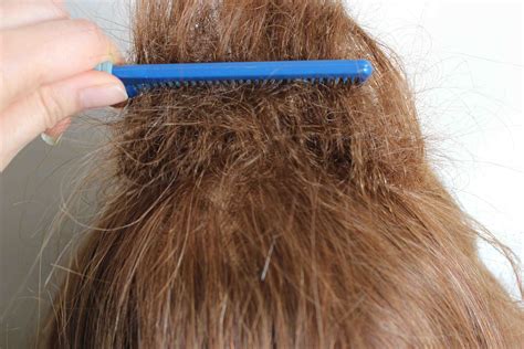 How To Backcomb The Hair Tina Prajapat