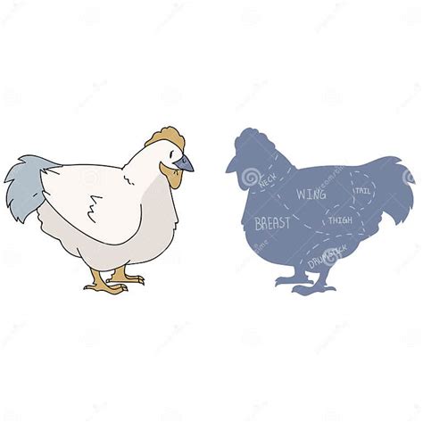 Cute French Farmhouse Hen With Butcher Chart Vector Clipart Hand Drawn