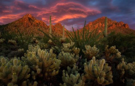 Tucson Sunset Wallpapers 4k Hd Tucson Sunset Backgrounds On Wallpaperbat