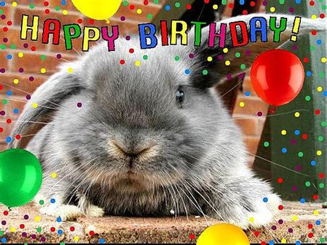Happy Birthday To Us My Beauty Bunny