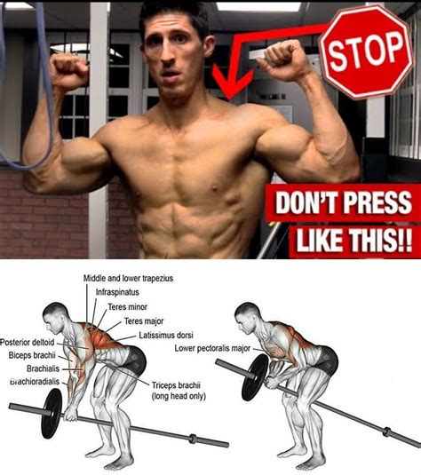 Exercises For Shredded Huge Back Picture And Guide