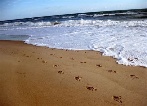 🔥 Free Download Beach Wallpapers Sand Beach Footprints Wallpaper