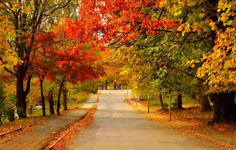 Wallpaper Road Autumn Trees Fall Foliage Autumn Colors Road