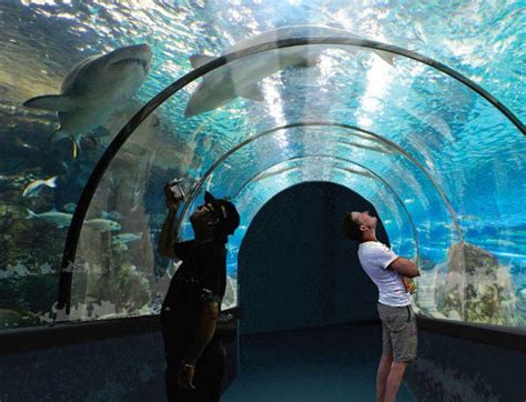 Zoos And Aquariums Discover Upstate