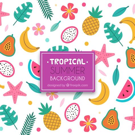 Premium Vector Lovely Tropical Background With Flat Design