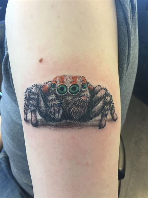 Fresh Ink Of A Jumping Spider Done At Divine Ink Kitimat Bc Done By Shaylin Alaska Tattoos