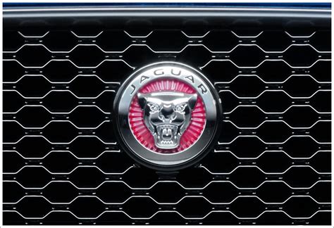 The jaguar history started, by the efforts of william lyons and william walmsley, who founded the continue reading to learn more about the jaguar logo, the company's history, and their current car. Jaguar Logo Meaning and History Jaguar symbol
