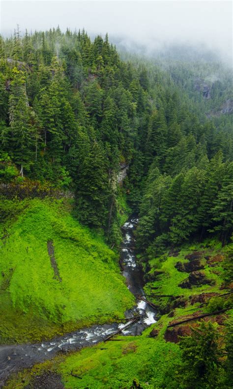 Waterfalls Pouring On River Greenery Foggy Mountain 4k 5k Hd Nature