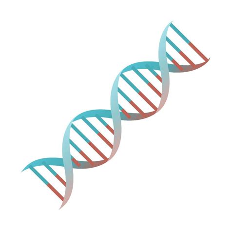 Cartoon DNA Spiral Genes Vector Isolated Object Illustration 8008073