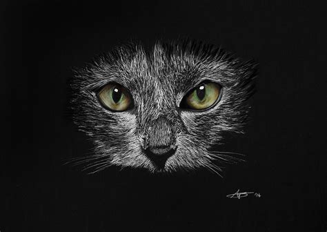 Cats Eyes Drawing By Robert Bateman