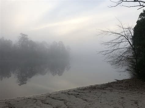 Morning Fog Over Lake Morning Walls