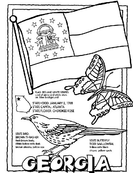 Click the download button to view the full image of new york state tree coloring page free, and download it for a computer. Georgia (U.S.State) Coloring Page | crayola.com