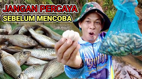 Umpan Mancing Ikan Wader Paling Jos Putrichannel Youtube
