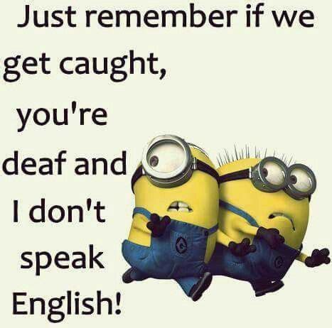 Lol!! Your partner and crime. | Funny quotes, Minions funny