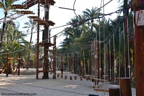 We did not find results for: Un día en el Parque Elche Palmeral Aventuras ...
