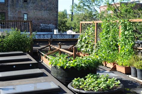 See more ideas about rooftop garden, garden design, backyard. sara gasbarra — Encyclopedia Botanica Podcast — Seattle ...