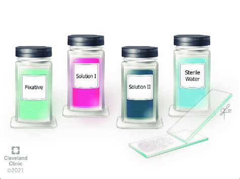Main Components Of The Diff Quik Staining Method Fixative Solution I
