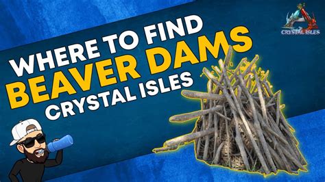 Ark Crystal Isles All Beaver Dam Locations Quick And Easy Cementing