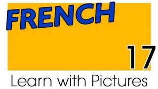 French Words & Phrases - Basics
