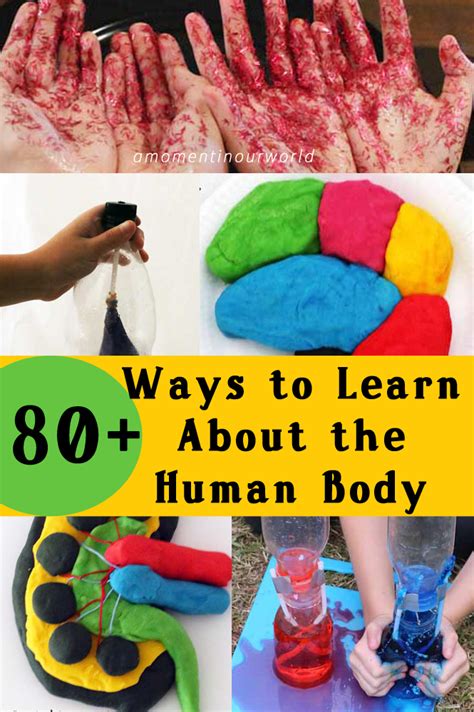 80 Ways To Learn About The Human Body A Moment In Our World
