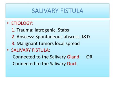 Ppt Salivary Glands Powerpoint Presentation Free Download Id2161716