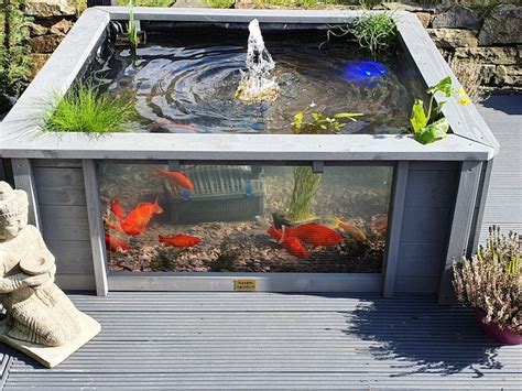 Lotus Clear View Garden Aquarium Raised Fish Pond With Windows Etsy
