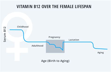 Vitamin B12 How To Reach An Optimized Level For Women