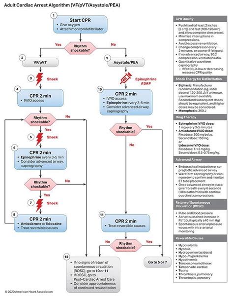 How To Pass The Advanced Cardiac Life Support Acls Like A Boss In