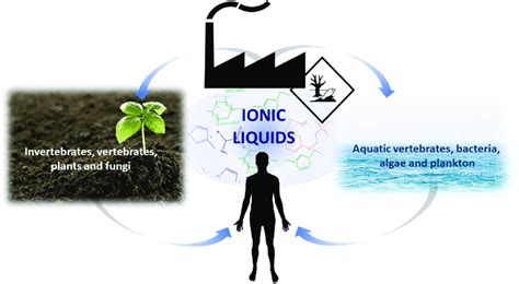 Yac vectors can be used to obtain artificial chromosomes because it carries. Different ecosystems affected by ILs as potential chemical ...