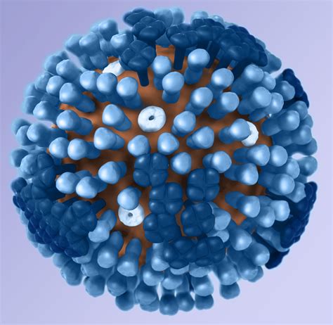 New Research Uncovers Pattern In Global Flu Outbreaks