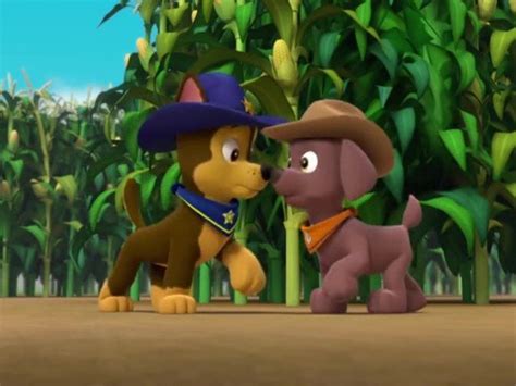 Zuma And Rocky Pups Fanatic On Twitter This Uhhh Reminds Me Of A Popular Disney Movie Chase