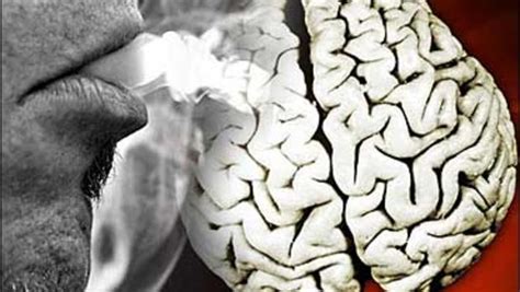 Scientists Id Brain Area For Smoking Urge Cbs News
