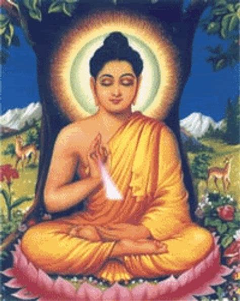 Buddha GIFs GIFDB Com