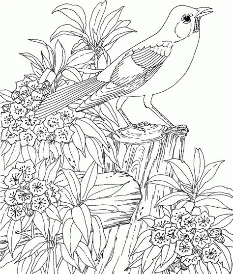 Flower garden coloring pages to download and print for free