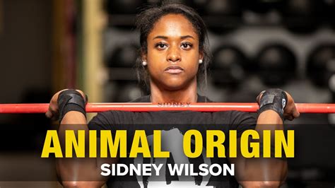 Animal Origin Sidney Wilson Youtube