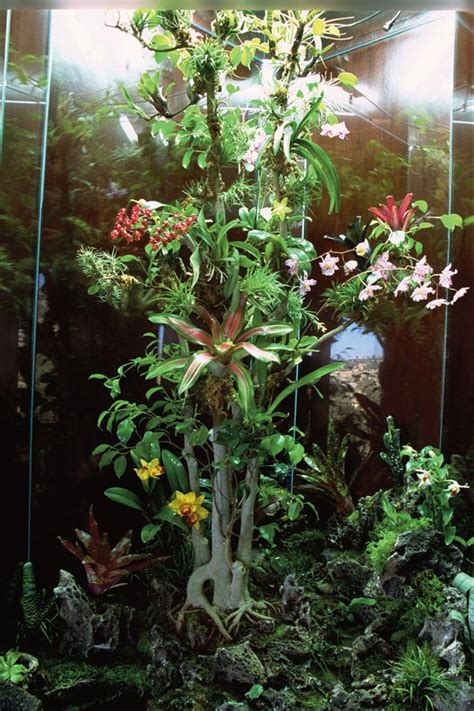 Diy misting system step 1: Simple DIY Misting System | Fountain Design Ideas