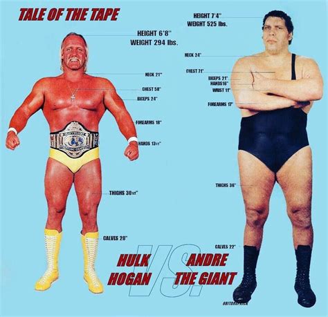 The History Of Andre The Giant In WWF BO Andre The Giant Professional Wrestlers Hulk
